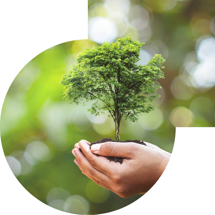 关怀人类、文化、环境与社会